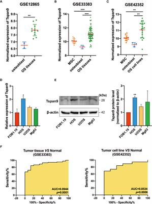 Tspan9 Induces EMT and Promotes Osteosarcoma Metastasis via Activating FAK-Ras-ERK1/2 Pathway